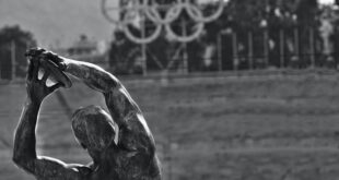 pexels photo 720456
